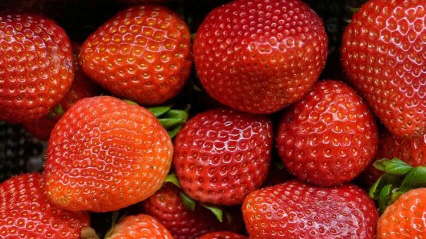 Не лише смачна і поживна: розкрито вражаючу правду про користь полуниці 