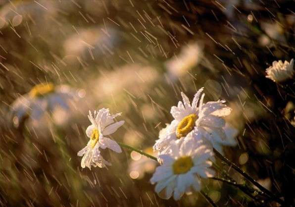 В Україні похолодає до 2. 