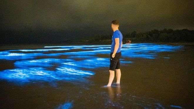 Відвідувачі пляжу в Ірландії стали свідками рідкісного природного світлового шоу