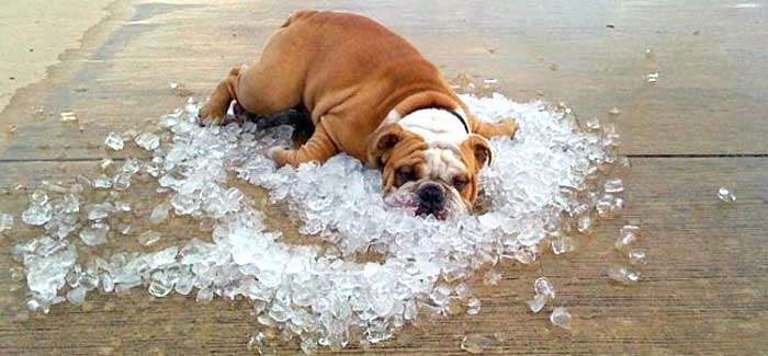 Синоптики прогнозують, сонце і грози в перші дні липня