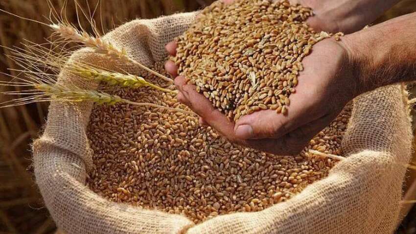 Битва за зерно обостряется: украинская пшеница под давлением из-за агрессивного демпинга РФ