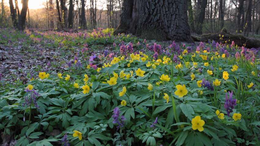 Апрель покажет, кто будет с деньгами: древние приметы, реально работающие Апрель покажет, кто будет с деньгами: древние приметы, реально работающие