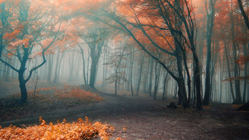 Погода на середу, 11 листопада: сухо, але холодно Погода на середу, 11 листопада: сухо, але холодно