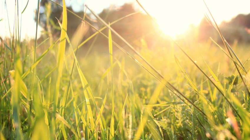 Превысит многолетнюю норму: подробный прогноз погоды на июль 2024 Превысит многолетнюю норму: подробный прогноз погоды на июль 2024