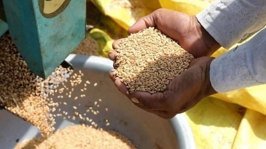 У аграриев, занимающихся переработкой зерновых, масличных и бобовых культур, появятся новые финансовые возможности