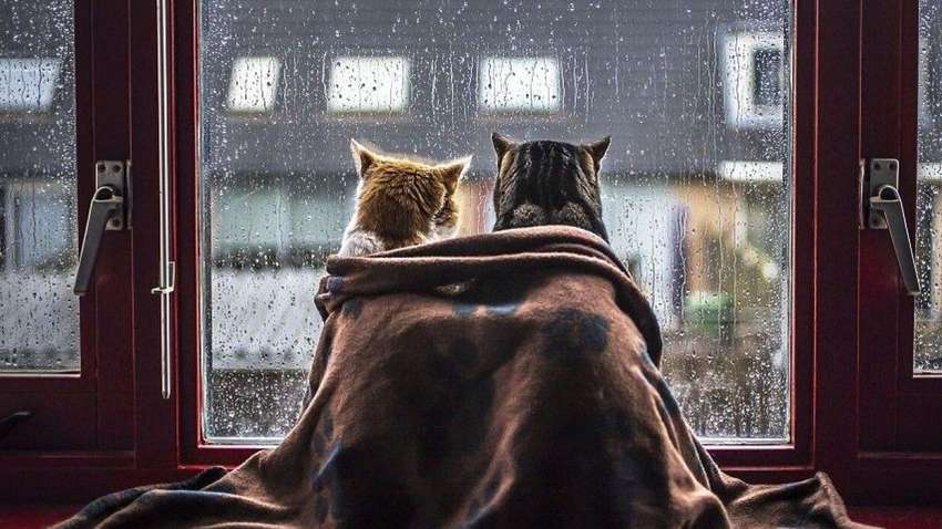 Синоптики спрогнозировали серьезное похолодание в Украине: ударят морозы до -9 Синоптики спрогнозировали серьезное похолодание в Украине: ударят морозы до -9