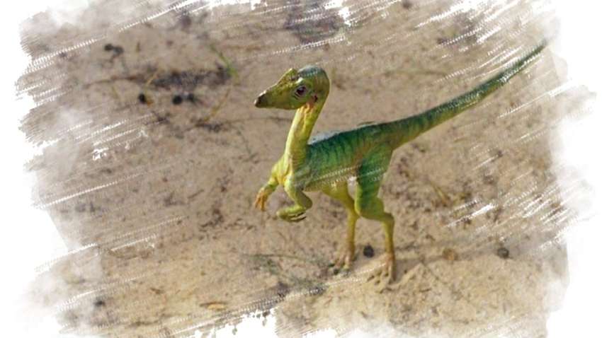 "Размером с кофейную чашку": ученые нашли скелет предка динозавров "Размером с кофейную чашку": ученые нашли скелет предка динозавров