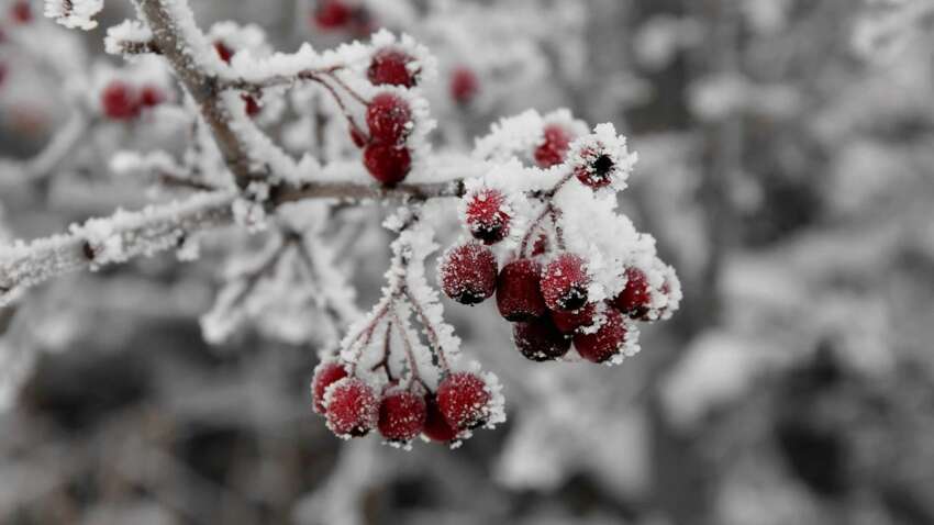 Погода готовит новое испытание украинцам: сколько еще будут продолжаться сильные морозы