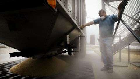 Рада усилила государственную поддержку для молодых фермеров