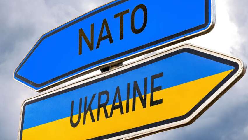 Сколько украинцев готовы отказаться от части территории ради вступления Украины в НАТО