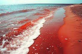 В Ірані пройшов «кривавий дощ»: моторошне видовище 