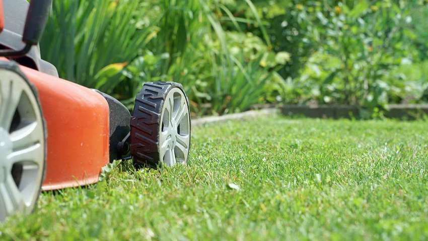 Киевская власть наконец перестала косить траву: что произошло