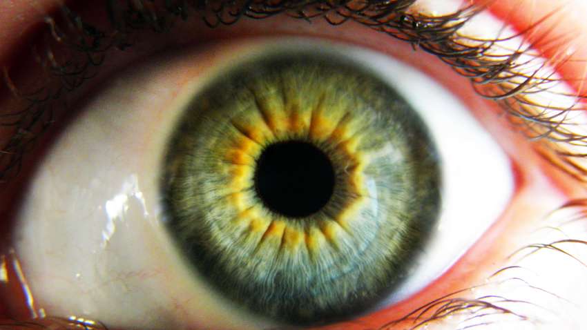 Создан объектив, который увеличивает объект путем моргания 