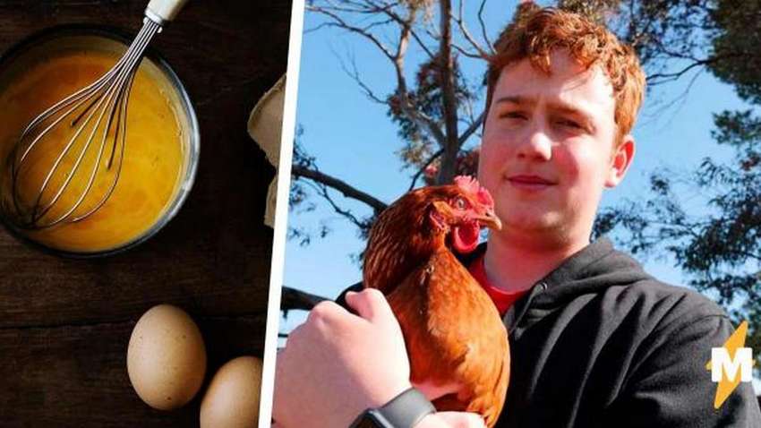 Одне на 25 мільйонів: австралієць знайшов рідкісне куряче яйце Одне на 25 мільйонів: австралієць знайшов рідкісне куряче яйце