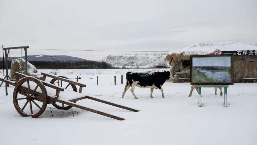 «Русский поселок» у Китаї «Русский поселок» у Китаї