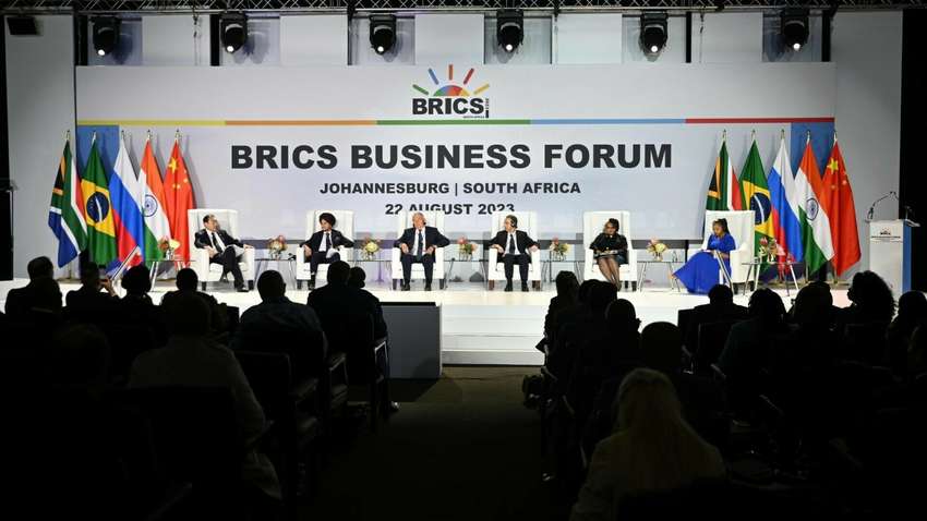 Во что может перерасти БРИКС – есть ли перспективы формирования антизападного блока