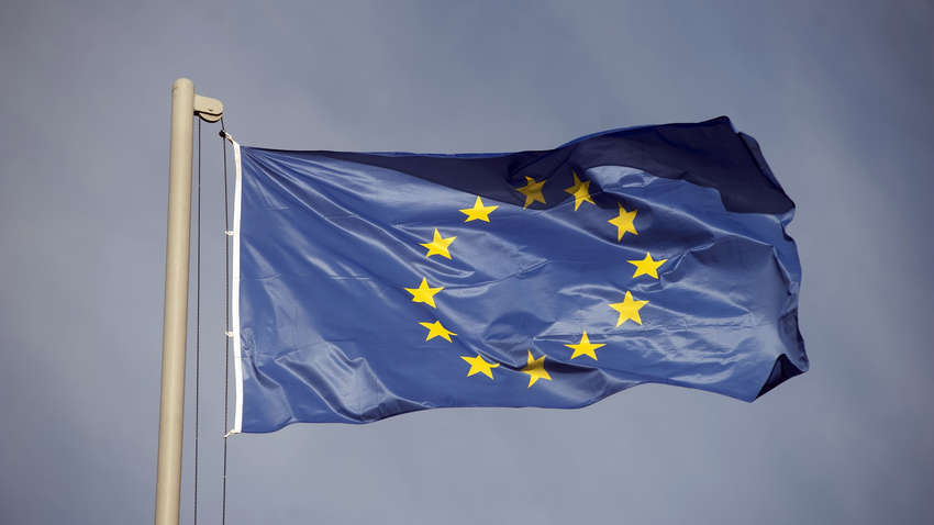 Опубликованы санкции против окружения Януковича: кто еще остается в списке ЕС