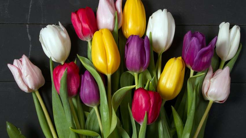 14 квітня: що відзначають у світі сьогодні 14 квітня: що відзначають у світі сьогодні