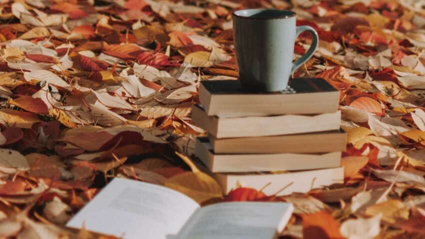 Церковный праздник 1 декабря: какой строгий запрет существует в этот день с книгами и тетрадями