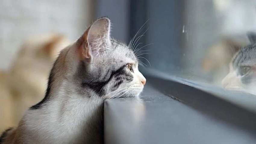 В Україну йде затяжне похолодання: синоптики оновили прогноз погоди 