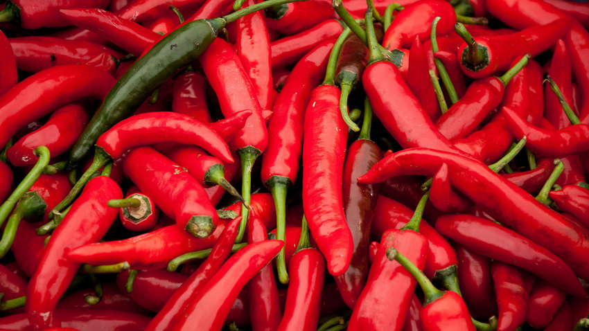 Перец чили продлевает жизнь: исследование ученых Перец чили продлевает жизнь: исследование ученых