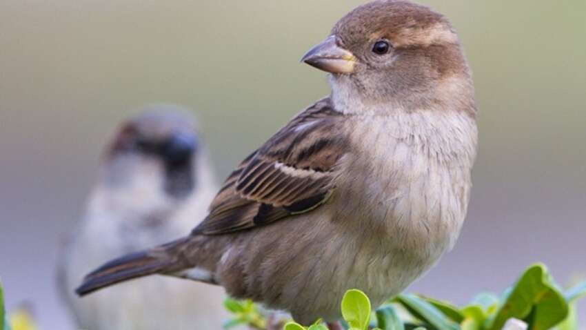Церковне свято 22 квітня: головна заборона цього дня