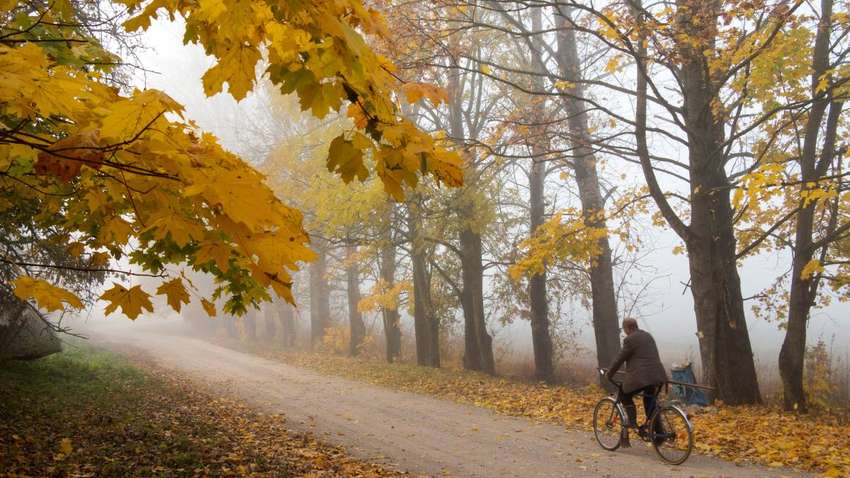 Прогноз на понедельник: где ждать грозы