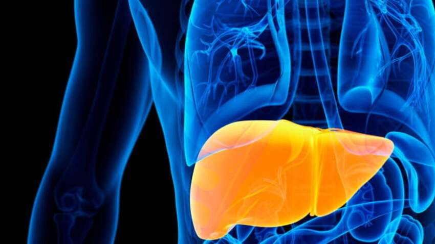 Жировая болезнь печени отступит: назван единственный неожиданный способ лечения 