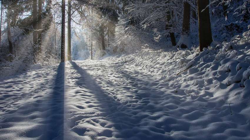 В Украину пришло потепление и мокрый снег: как изменится погода В Украину пришло потепление и мокрый снег: как изменится погода
