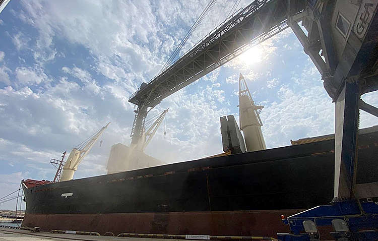 Зерновий коридор: перші підсумки відновлення агроекспорту – чому процес важливо нарощувати