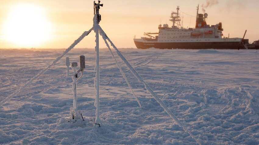 У Путина и Трампа наметили планы для плотного сотрудничества: о чем идет речь