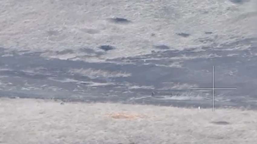 Різноманіття техніки вражає: на чому ворог штурмує українські позиції 