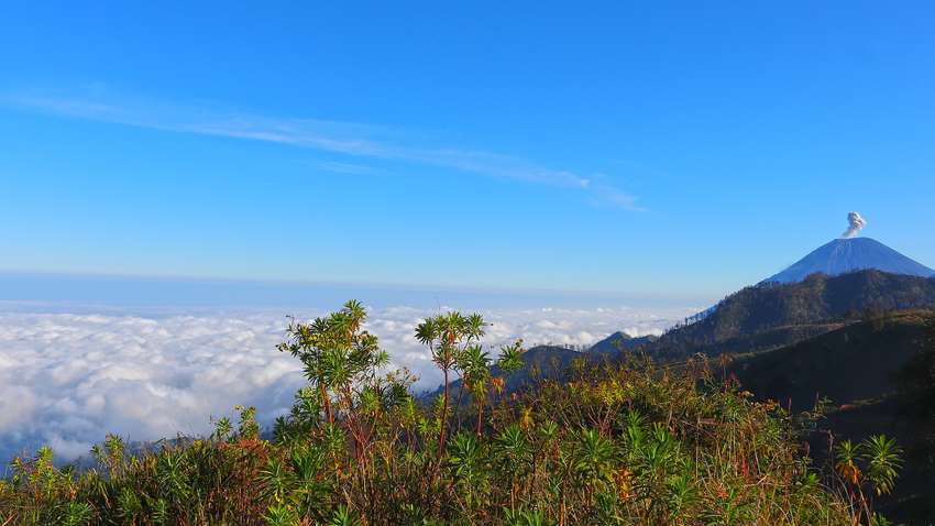 В Індонезії почалося виверження вулкана: люди рятуються бігством (ВІДЕО) В Індонезії почалося виверження вулкана: люди рятуються бігством (ВІДЕО)