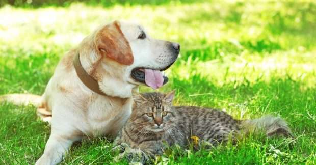 Августовская жара до + 35° возвращается снова: прогноз погоды на начало недели