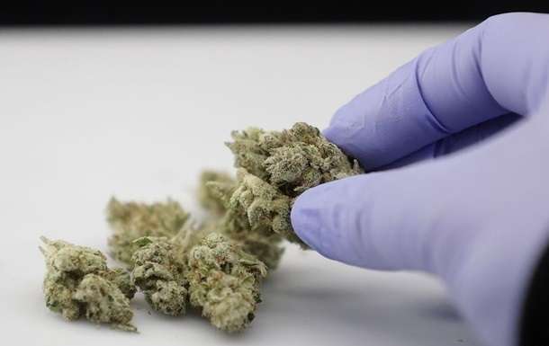 Стало відомо, коли в аптеках України з'являться ліки на основі канабісу