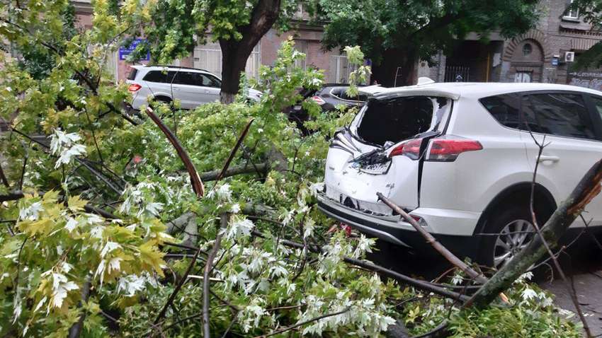 Киев накрыл мощный ураган: поваленные деревья и сорванная крыша, - ФОТО, ВИДЕО