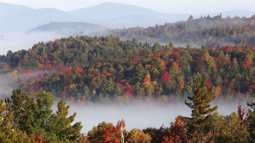 Церковне свято 9 жовтня: які прикмети обіцяють здоров'я та удачу весь рік