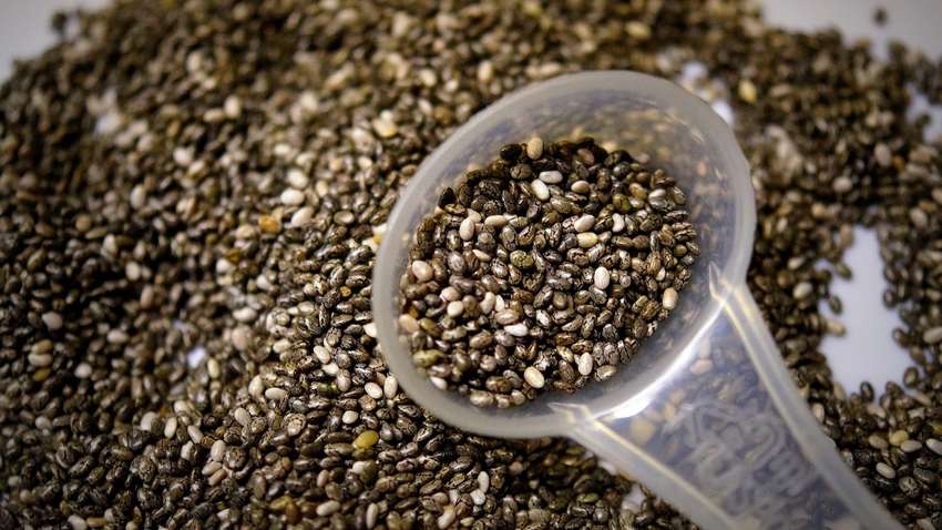 Насіння чіа підвищує імунітет від вірусних захворювань Насіння чіа підвищує імунітет від вірусних захворювань