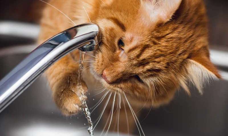 В Одесі та області відключать водопостачання: адреси В Одесі та області відключать водопостачання: адреси