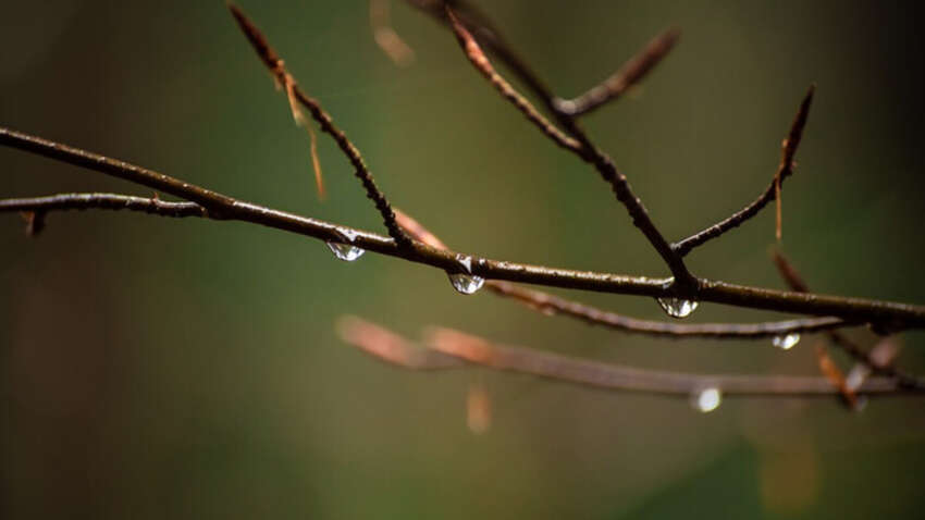 Какой церковный праздник 14 октября: строгие запреты этого дня касаются женщин