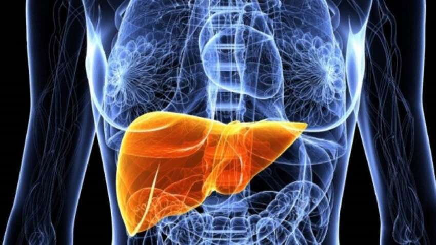 Здоров’я печінки за копійки: ці 3 продукти точно є на вашій кухні 