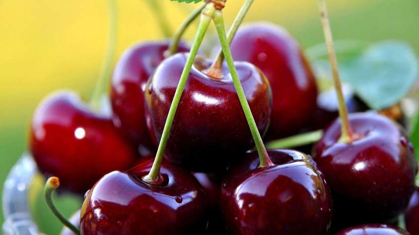Медики назвали болезни, от которых защищает черешня
