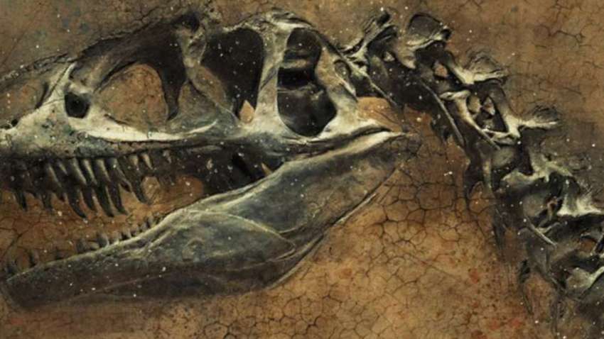 Ученые обнаружили жуткую древнюю птицу с головой динозавра (ВИДЕО)