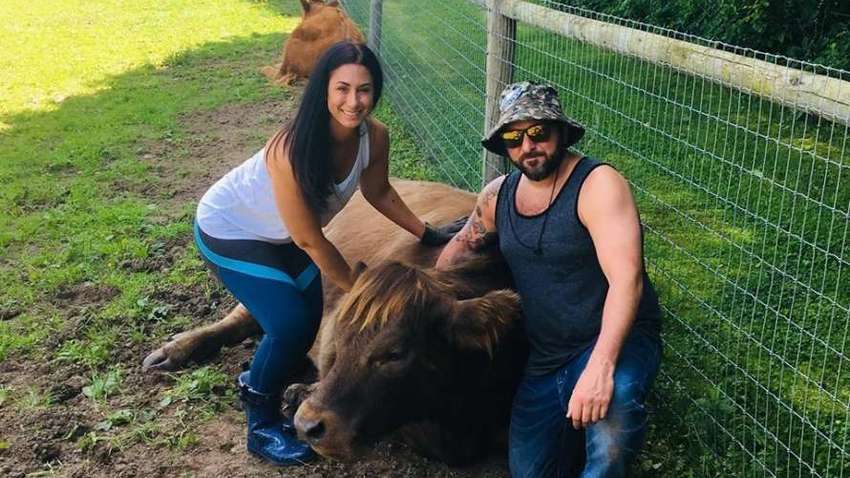 У США знімають стрес обіймами з коровою