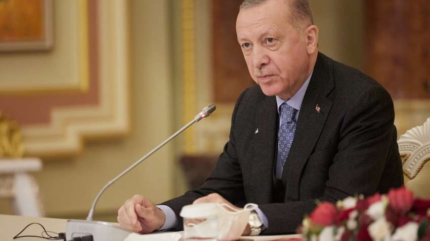 Эксперт: Эрдоган не хочет выбирать между Москвой и Киевом, но его инициативу Путин отбросит