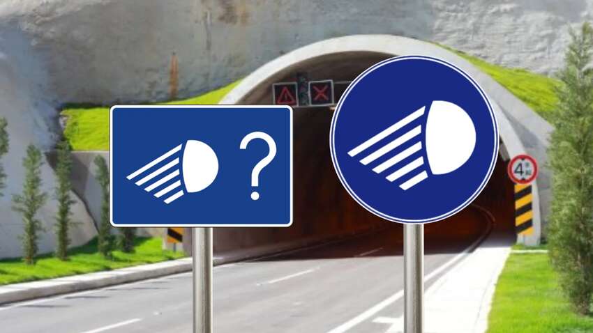 Медуза зі знаком питання: водії не знають, що означає цей знак