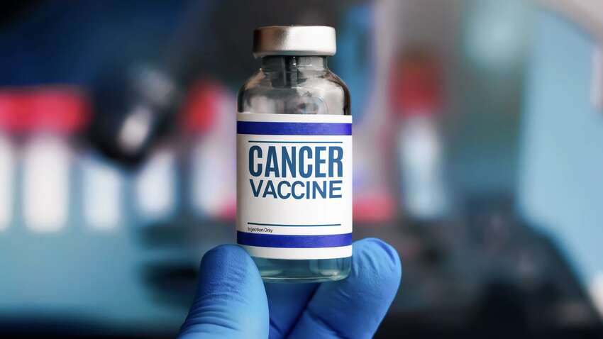 Япония на шаг к лечению синдрома Дауна, а США — к победе над раком Япония на шаг к лечению синдрома Дауна, а США — к победе над раком