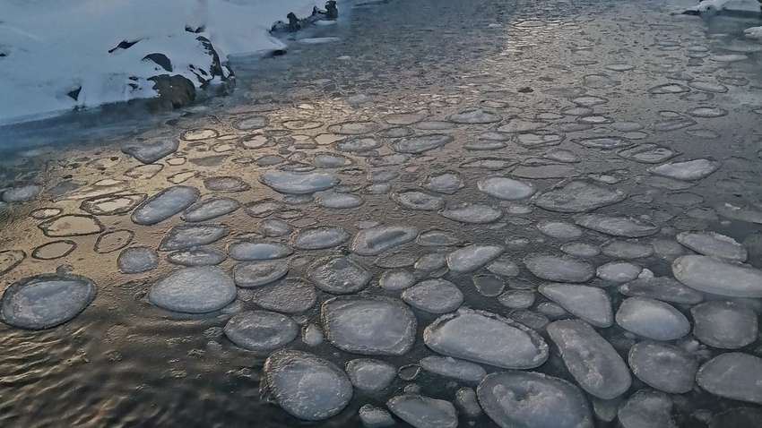 В Антарктиде украинские полярники наткнулись на редкий «блинный лед» на поверхности воды