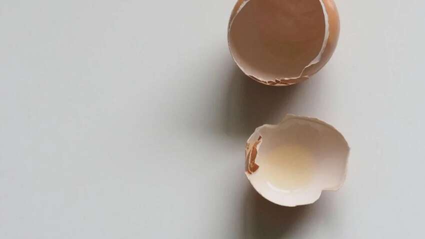 Більшість з нас даремно викидає цю частину яйця: експерти приголомшили причиною