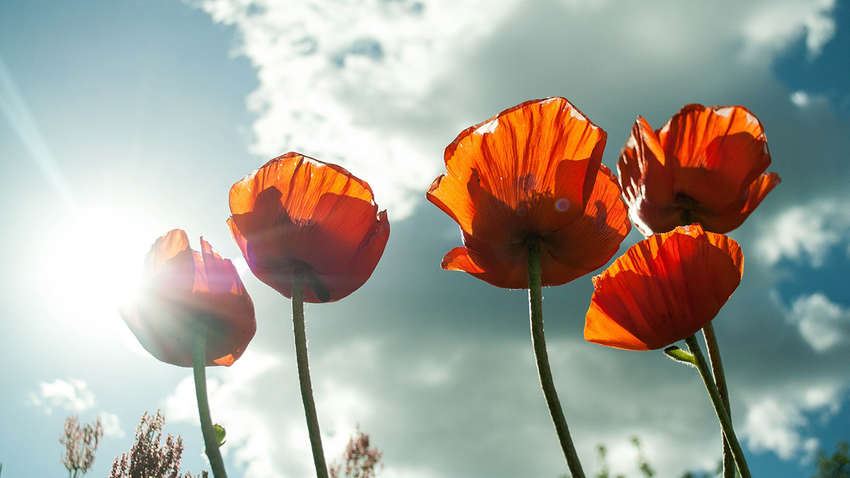 Прогноз погоди в Україні: куди прийде літня спека